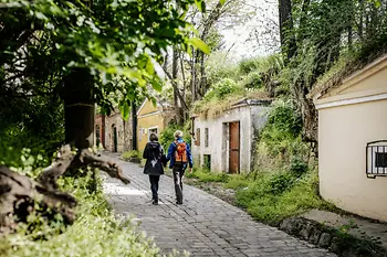 Két nő sétál a borospincék mellett
