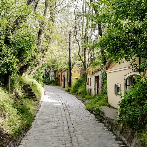 Cellar lane in Vienna