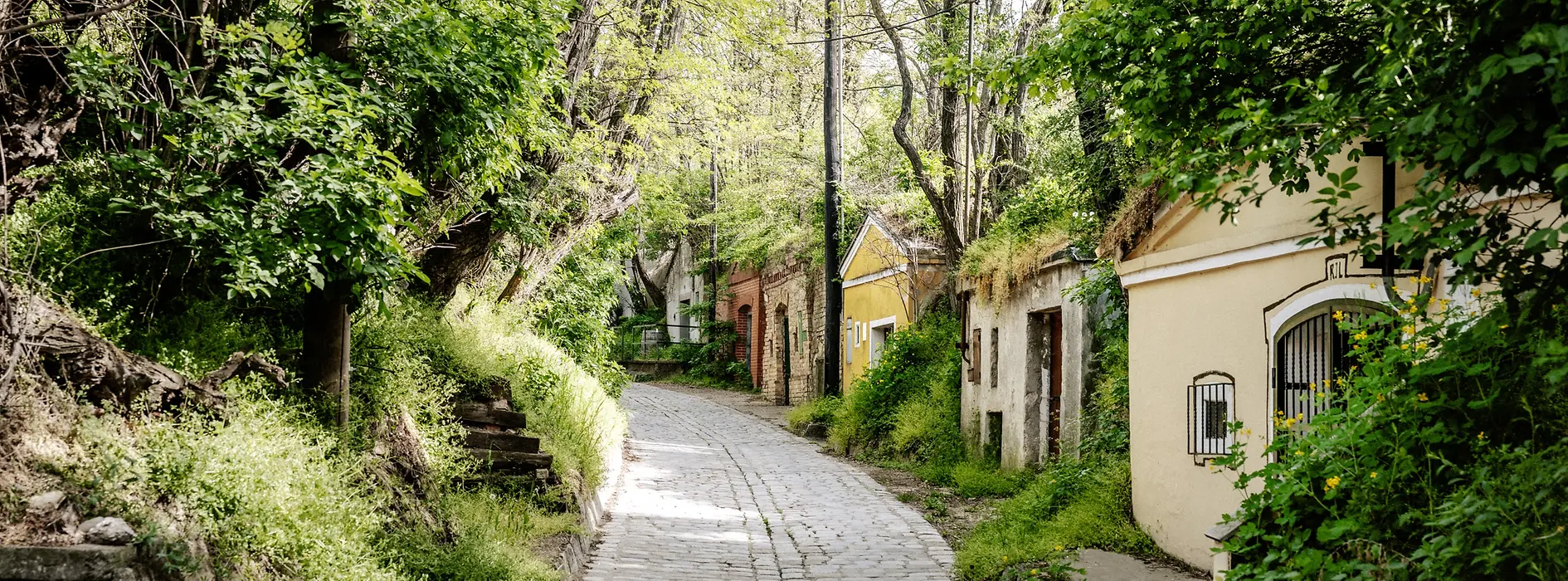 Kellergasse w Wiedniu