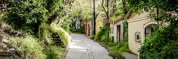 Kellergasse de Viena