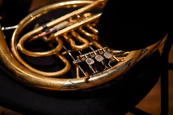 Das Musikinstrument Horn