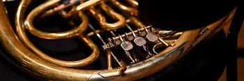 Das Musikinstrument Horn