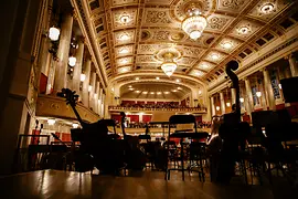 Koncert Vídeňské filharmonie v Koncertním domě