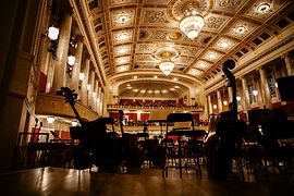 コンツェルトハウス、ウィーン交響楽団の楽器