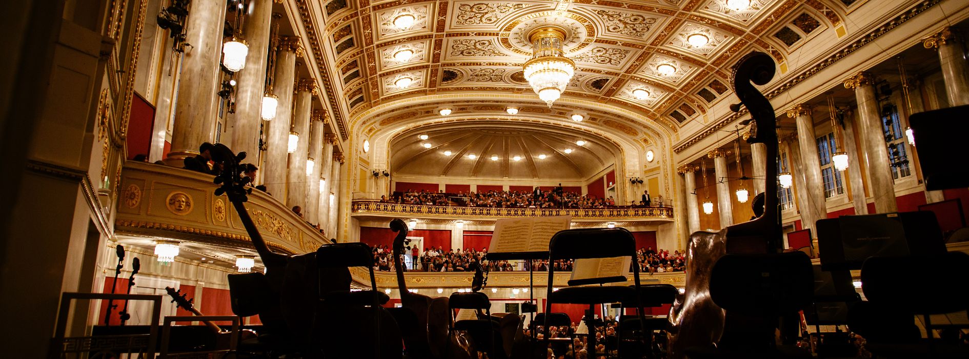 コンツェルトハウス、ウィーン交響楽団の楽器