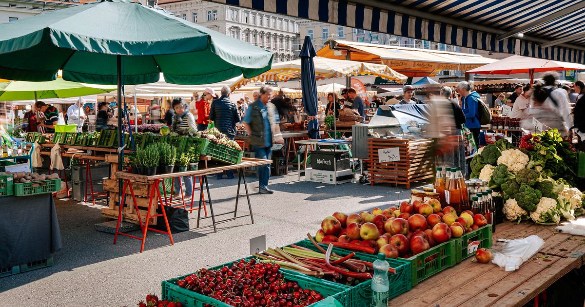 https://www.wien.info/en/livable-vienna/sustainable-vienna social preview image