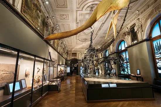 Muséum d'Histoire naturelle Vienne, salle des dinosaures
