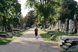 中央墓地の墓標とジョギングを楽しむ女性