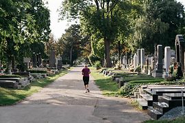 Ansicht des Zentralfriedhofs Gräbern und Joggerin