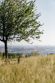 Вид на Вену