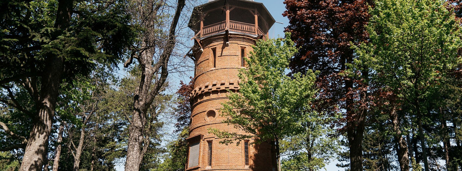 Wieża widokowa Paulinenwarte w wiedeńskim parku Türkenschanzpark