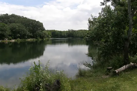 Cooling off in the Lobau