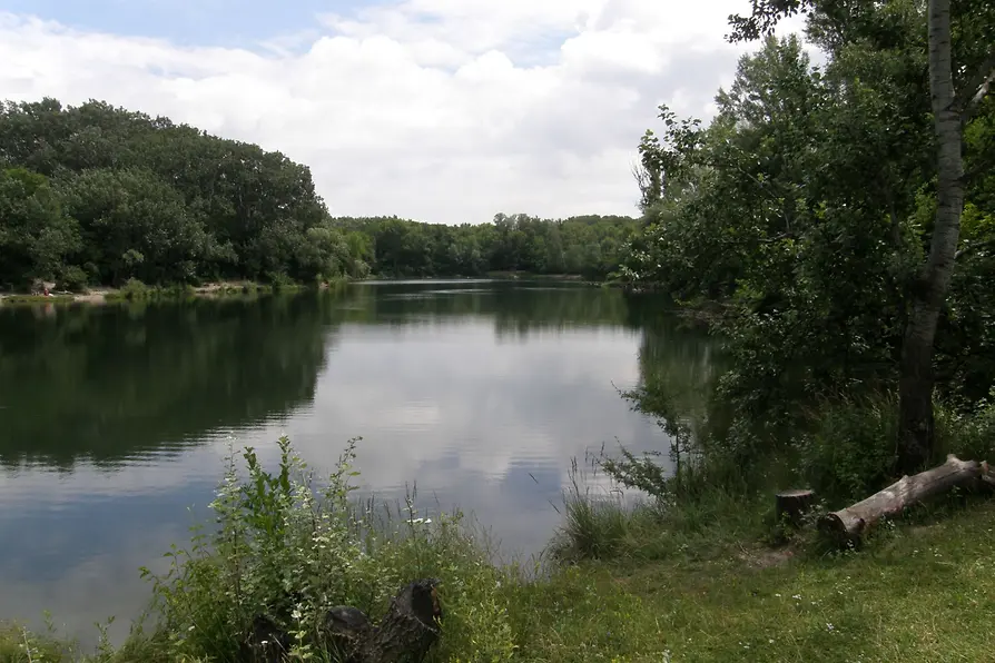 Cooling off in the Lobau