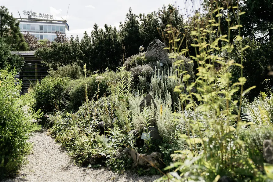 Vue sur le jardin alpin du Belvédère
