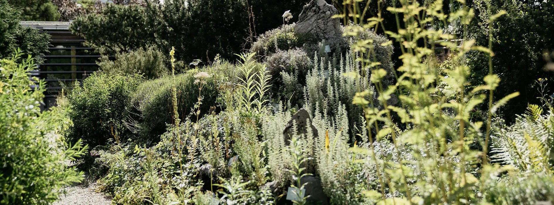 View of the Alpine Garden at the Belvedere 
