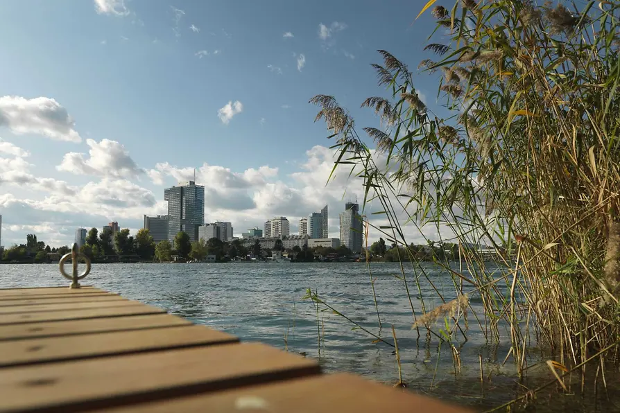 Steg auf der Alte Donau