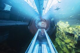 Túnel atlántico en la Casa del Mar