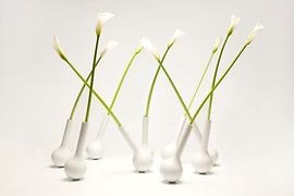 Blumen in Vase 