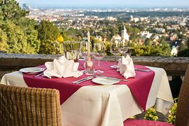 Laid table with a view of Vienna