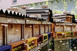 Beehives in a courtyard