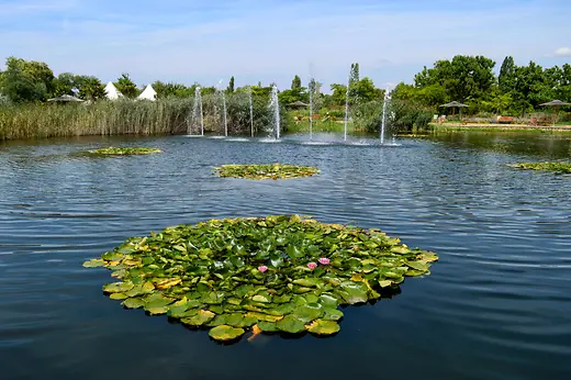 Florarium at Hirschstetten Botanical Gardens