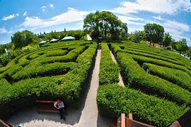 Maze & Labyrinth at Hirschstetten Botanical Gardens