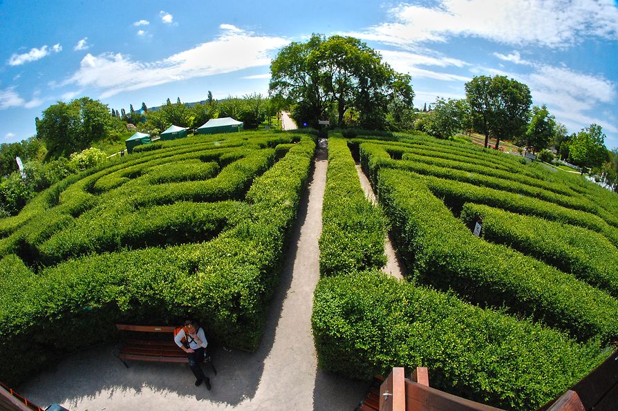 Maze & Labyrinth at Hirschstetten Botanical Gardens