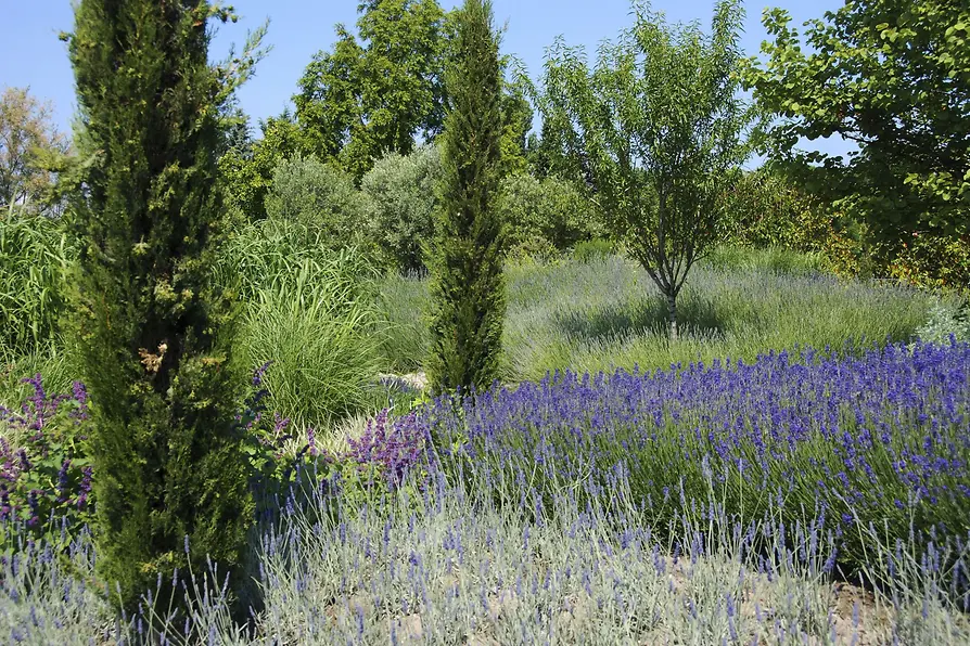 View of the Florarium at Hirschstetten Botanical Gardens