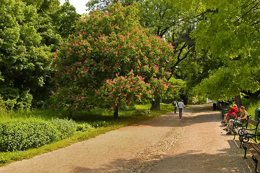 Arbres, buissons et personnes dans le jardin botanique