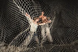 Karin Pauer taucht hinab in dunkle Gewässer; wütend, laut, trotzig. In ihrer neuen Gruppenarbeit LOW vertieft die Choreografin ihre Auseinandersetzung mit den verflochtenen Schicksalen menschlicher Körper und mariner Ökosysteme in einer von Zusammenbruch geprägten Welt. (Oktober 2025 im brut nordwest)