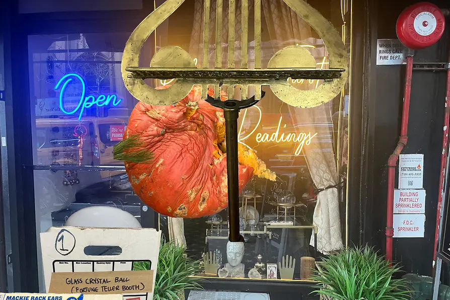 Schaufenster mit Leuchtschrift \"Open Readings\" und aufgehängtem Riesenkürbis.
