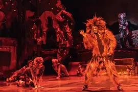 Nicholas Li (Macavity)