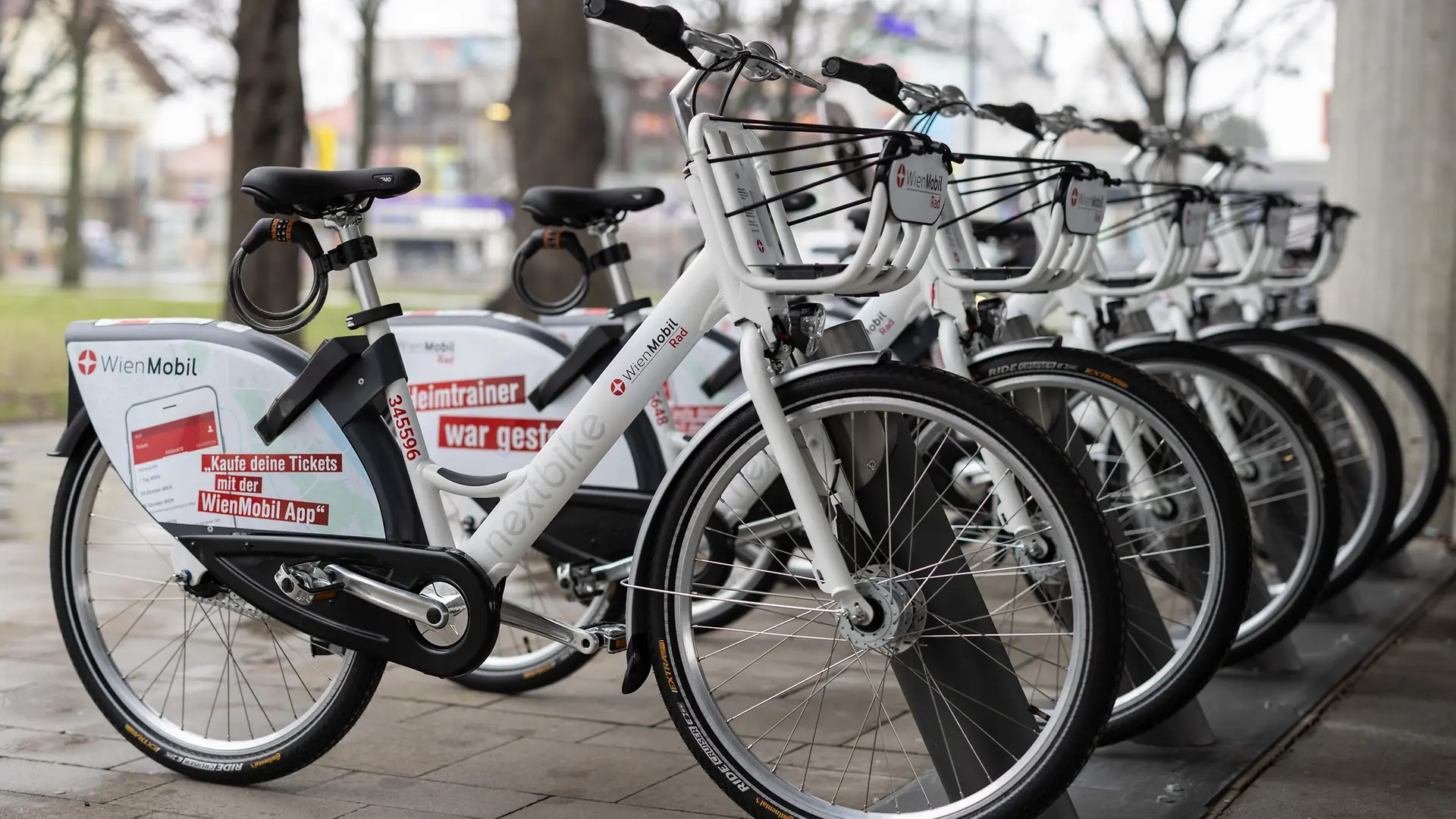 eskute polluno pro e-citybike E-Bike| Unitrax Ihr liebt Erdnussbutter-Marmeladen-Sandwiches? 🥪 plus Farbe:grau/blau