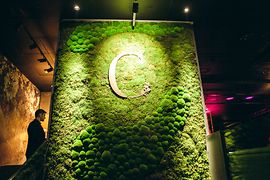 Wall greened with moss in a restaurant 