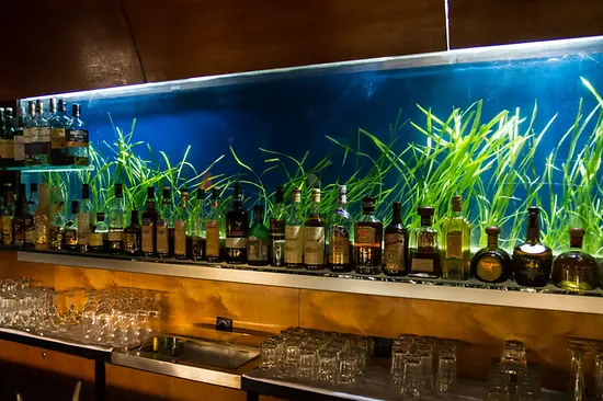 firstfloor cocktail bar