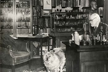 Sigmund Freud in seinem Arbeitszimmer mit Chow , 1937