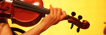 Violin player