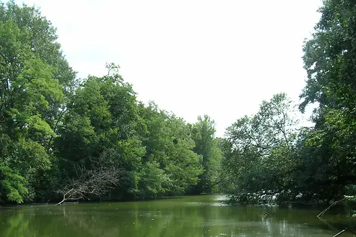 Das Heustadlwasser umgeben von Bäumen