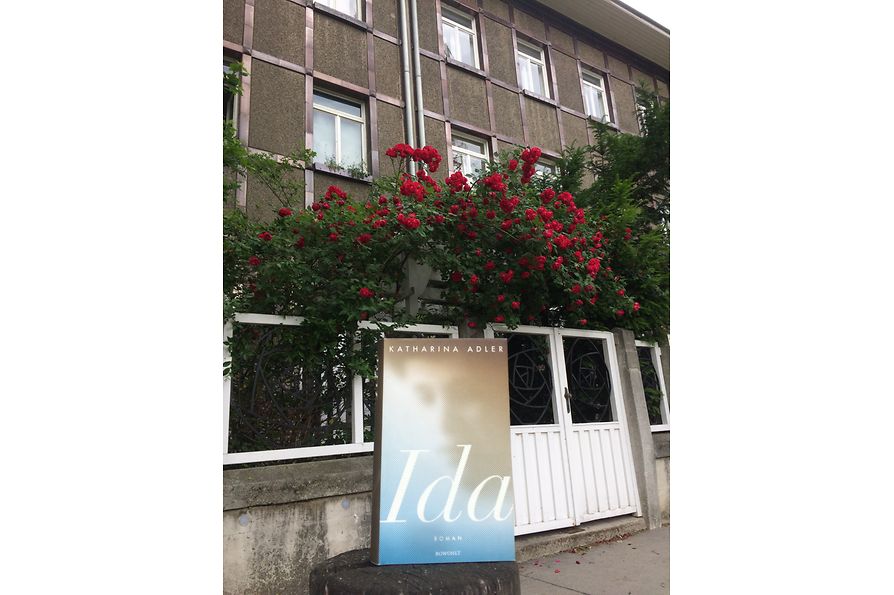 Buch "Ida" vor dem Haus in der Vegagasse in Döbling