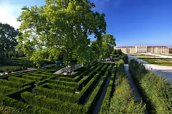 Dedalo con la Reggia di Schönbrunn sullo sfondo
