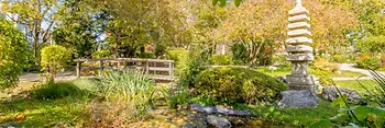 Jardin japonais dans le 19e arrondissement 