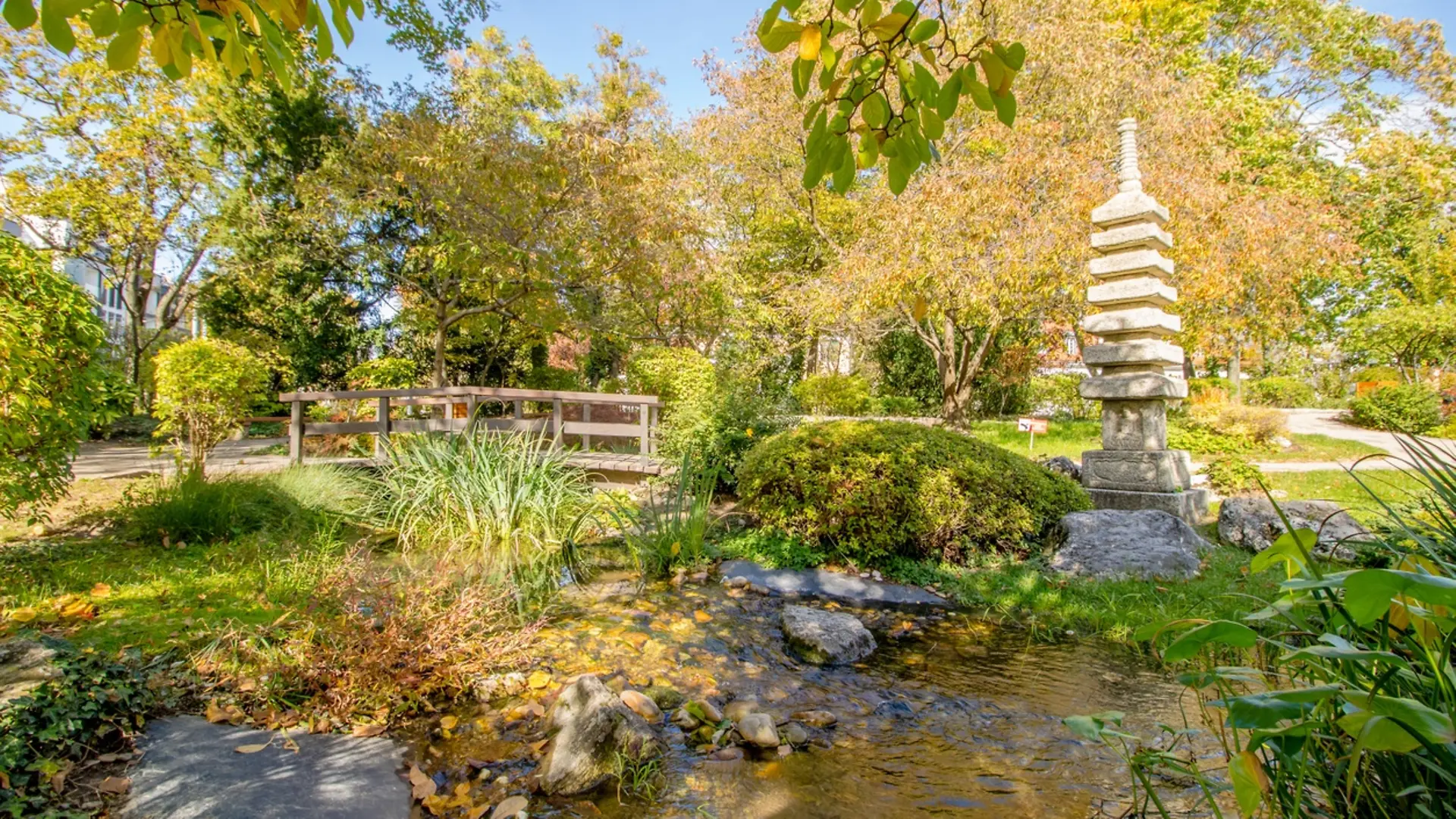 ウィーンに花咲く日本の庭園芸術 - wien.info