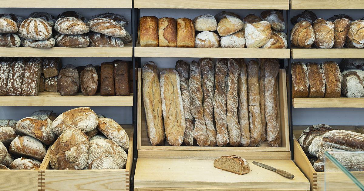 bio backereien in wien wien info