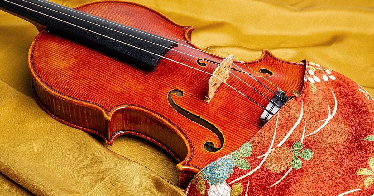 Wie Geigen Schlafen Wien Jetzt Fur Immer