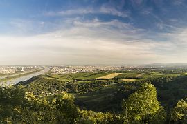 Panorama dal Kahlenberg