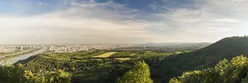 Panorama dal Kahlenberg