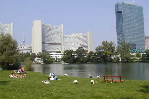 Schwäne am Kaiserwasser