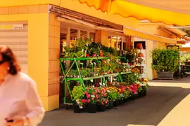 Negocio de flores en el Karmelitermarkt