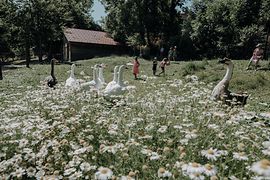 Children’s farm at Landgut Wien Cobenzl 