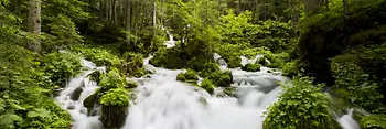 Source d'eau dans les Alpes